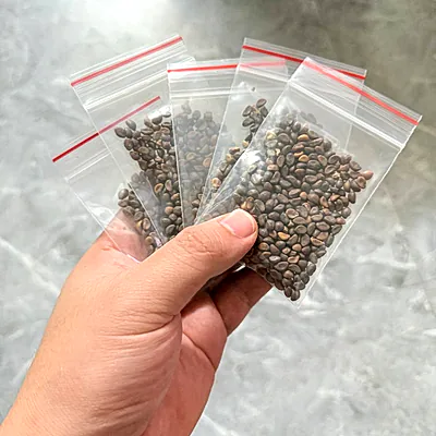 5 gói hạt giống nhận được