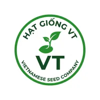 Hạt Giống VT